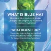 LANEIGE Water Bank Blue Hyaluronic Exfoliating Toner *Pre-Order*
